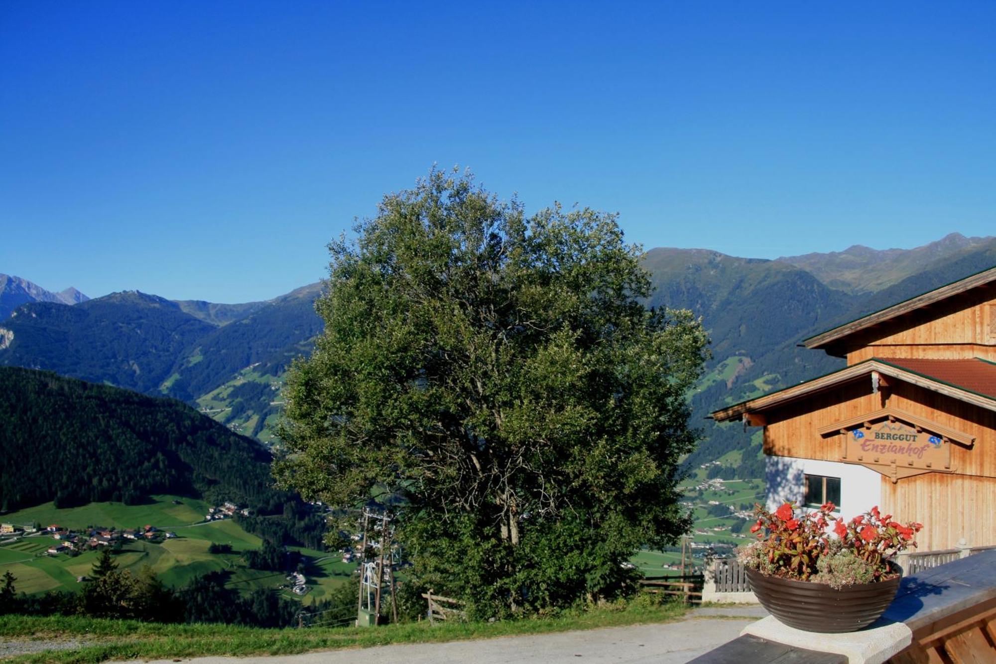 Alpengasthof Enzianhof Zell am Ziller Luaran gambar